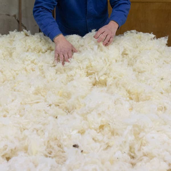 laine de mouton